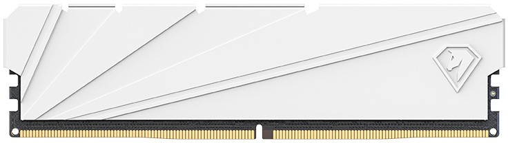 Netac Shadow S 16GB DDR4-2666 (PC4-21300) C19 19-19-19-43 1.2V Memory module (DIMM) White