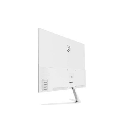 Монитор Raskat I24F10DAW 24" (IPS, 1920*1080, VGA+HDMI, 5ms, 178°/178°, 1000:1, 100Hz, White)