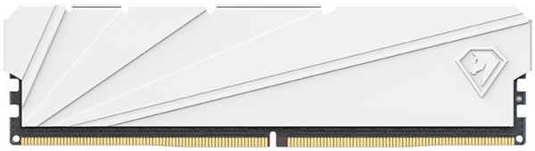 Netac Shadow S 16GB DDR4-2666 (PC4-21300) C19 19-19-19-43 1.2V Memory module (DIMM) White